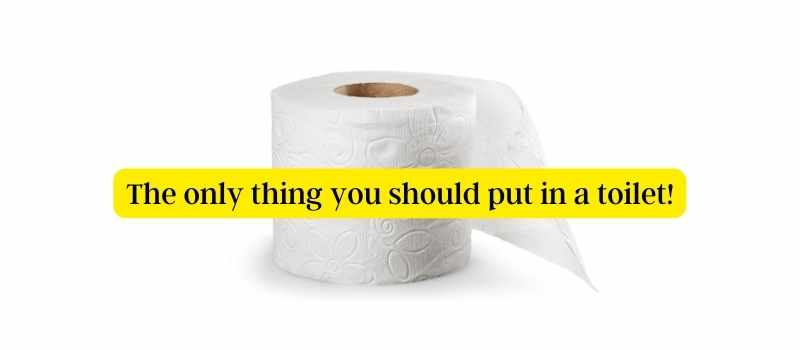 Items to never throw down the toilet, even if it says it's OK.