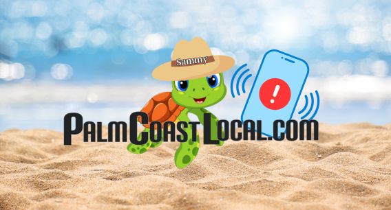 Palm Coast Local Business Listing