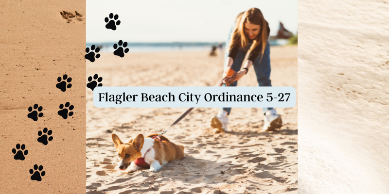 Flagler Beach Police: Animals on A Leash 8 Feet or Less