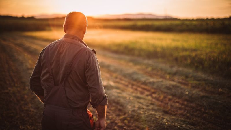  Crisis in American Agriculture