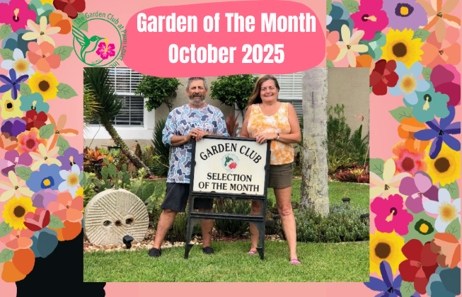 The Garden Club at Palm Coast proudly announces Angela and Vinny Yacuzzi of Feling Lane as the Selection of the Month for October  2025.  