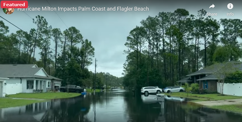  J. Maegan Wilson Realtor; Real Broker, LLC - Palm Coast, Florida Local Resident