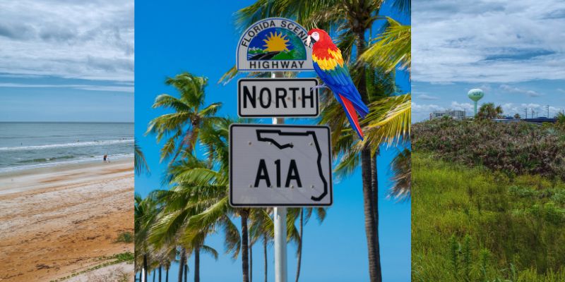 From Florida Scenic Highway to Jimmy Buffett Memorial: A1A turns parrothead in Florida