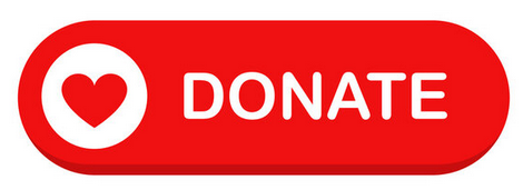 Make a donation to Murphy's Kittens