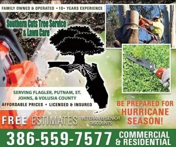 Southern Cut Tree Service Palm Coast Flagler