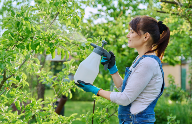 Baking Soda for Plants: A Green Thumb’s Secret Weapon