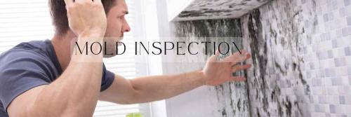 Safe Home Mold Inspections & Testing