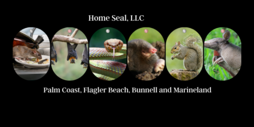 Home Seal