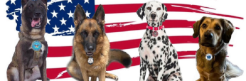 Old Glory Service Dogs 4 Veterans