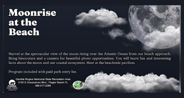 Marvel at the spectacular view of the moon rising over the Atlantic Ocean from our beach approach! | Palm Coast Local Events