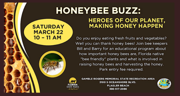 Honeybee Buzz A Fun, Educational Event how important honeybees are, Florida native 