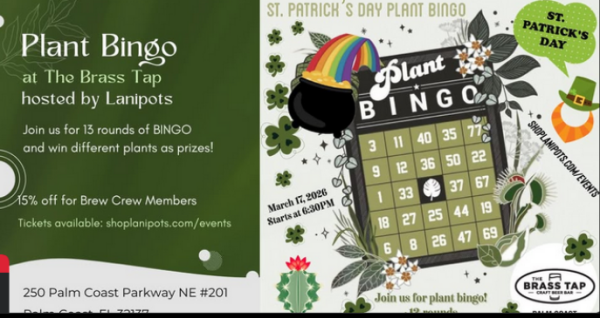 St. Patricks Day Plant Bingo at The Brass Tap Palm Coast