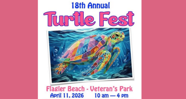 Turtle Fest at Flagler Beach Celebrates Marine Life and Family Fun