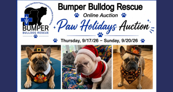 Bumper Bulldog Rescue Paw Holiday Auction