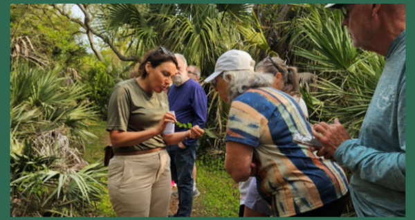 Wild Edibles Hike Forage and Explore Natures Bounty