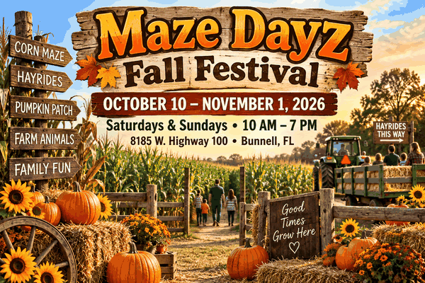 Maze Dayz Fall Festival