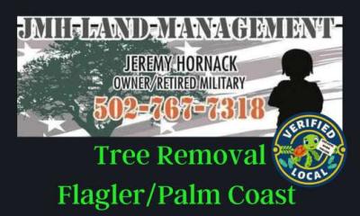 Flagler County Tree Removal Service