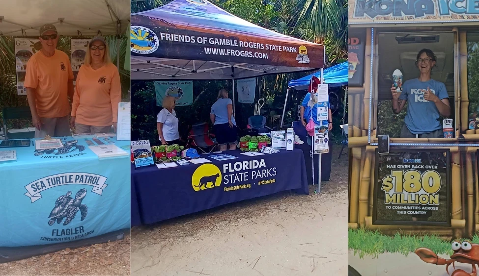 new search in town (4)